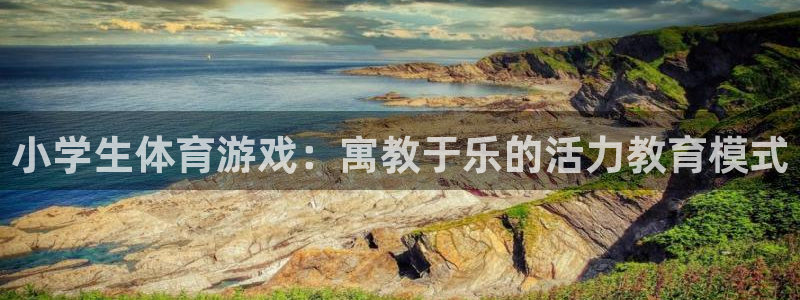 MK体育官方平台体育:小学生体育游戏:寓教于乐的活力教育模式