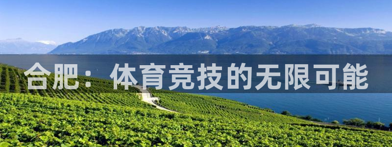 MK体育官网下载开户:合肥:体育竞技的无限可能